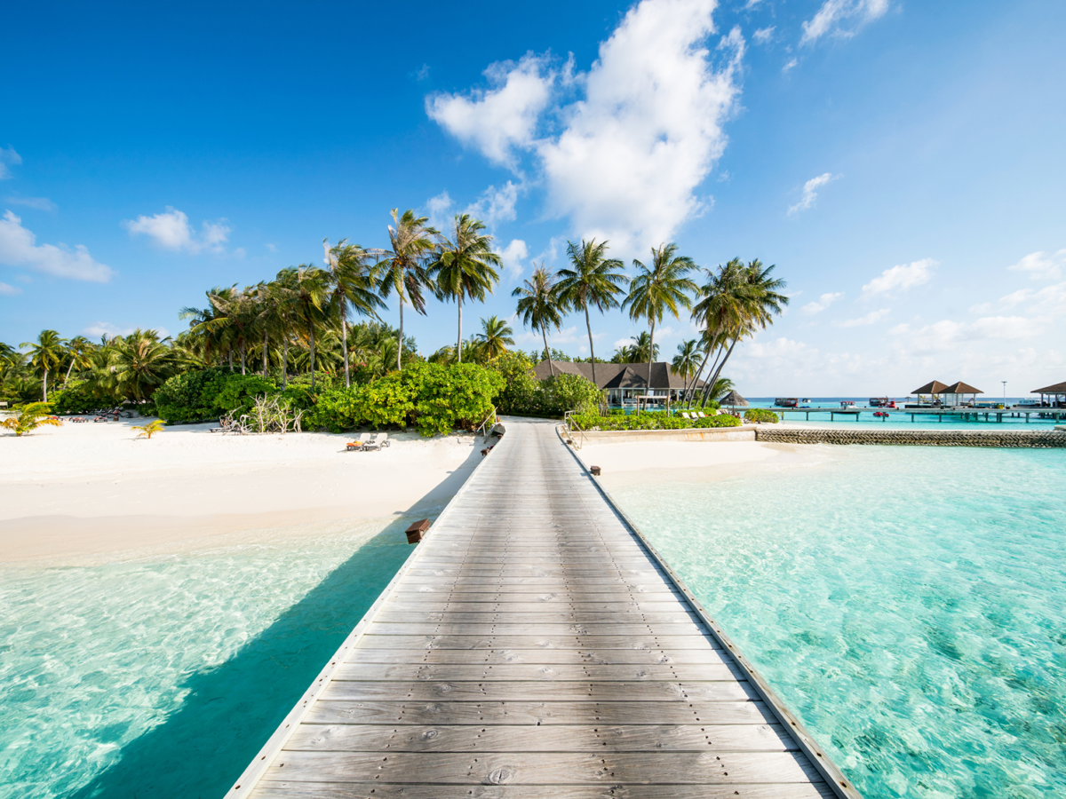 Adobe Stock 274318370